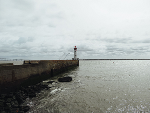 Traitement punaises de lit Saint-Nazaire